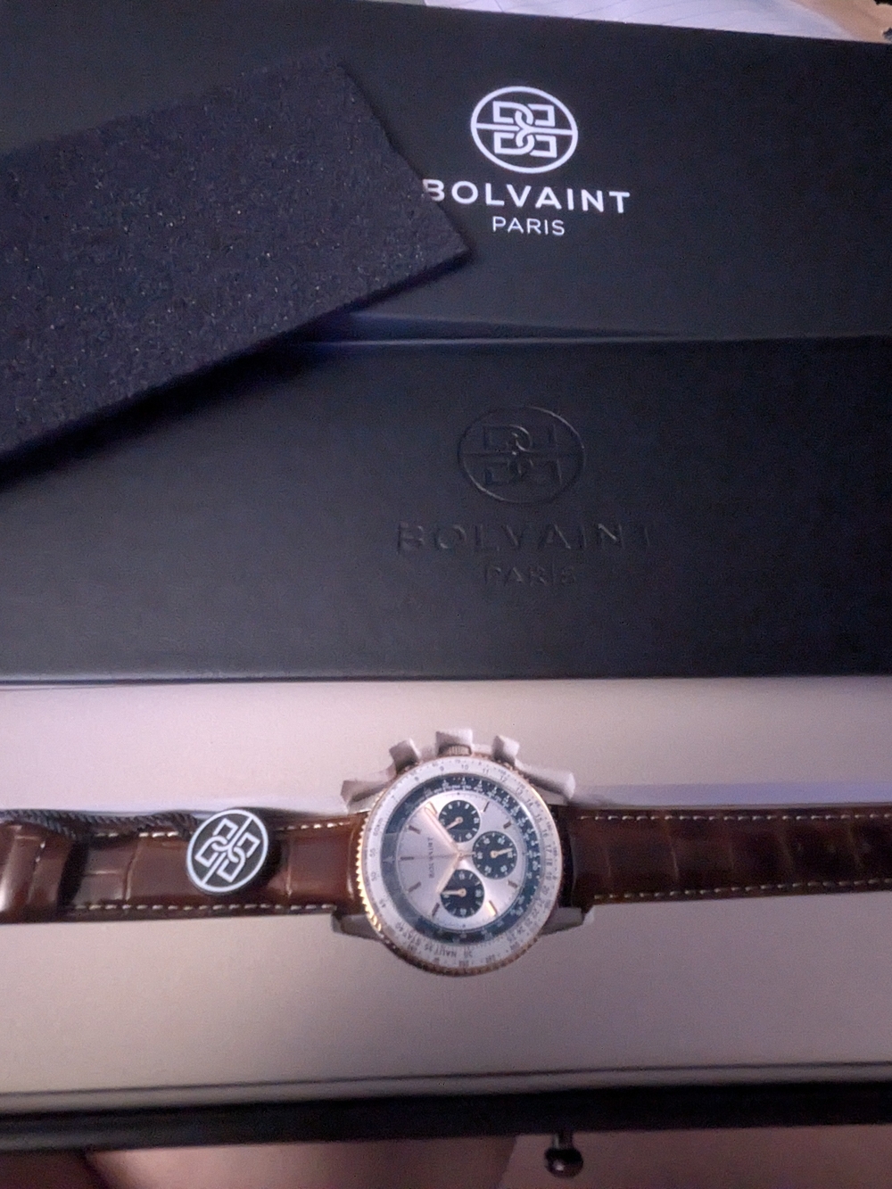 Men's Brown Leather Chronograph Watch with Silver Case
